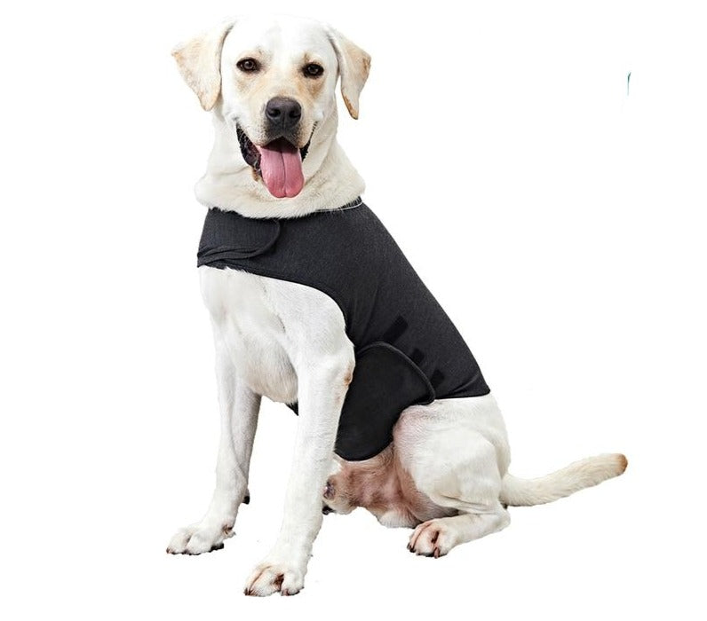 Anxiety dog vest - Pups Calm