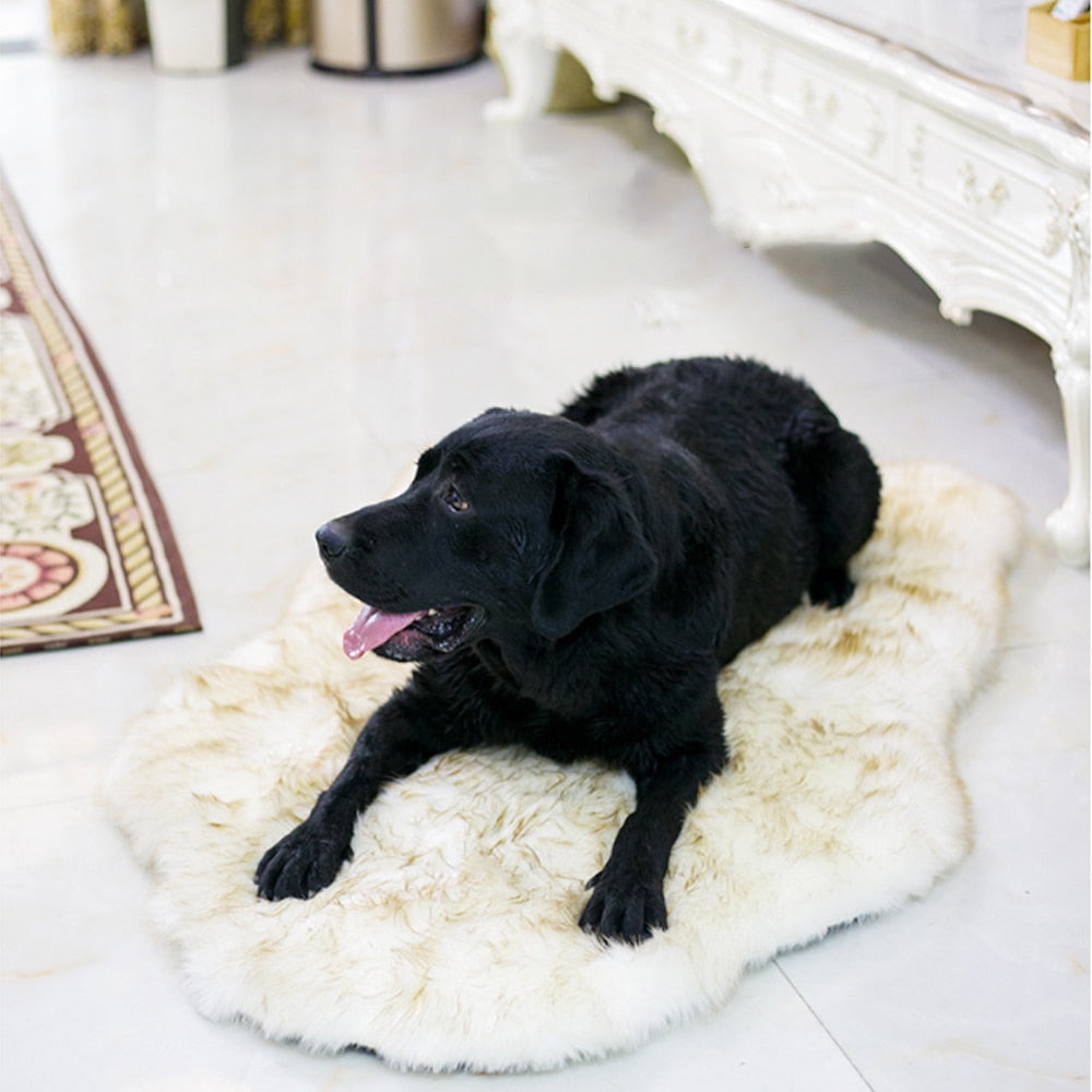 ORTHOPEDIC DOG BED - Pups Calm