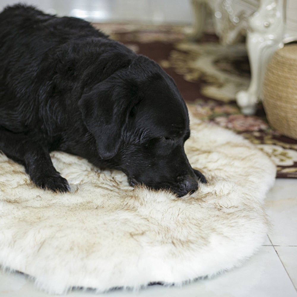 ORTHOPEDIC DOG BED - Pups Calm